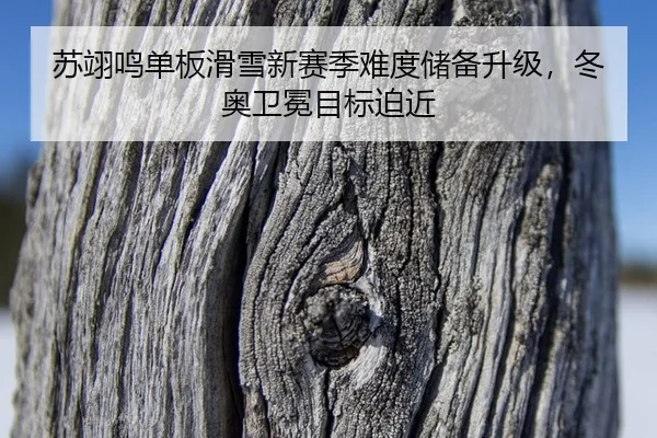su-yi-ming-dan-ban-hua-xue-xin-sai-ji-nan-du-chu-bei-sheng-ji-dong-ao-wei-mian-mu-biao-po-jin-3-276.jpg